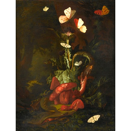 A Forest Floor Landscape with a Thistle, Fungi, Moths, a Lizard and Snakes